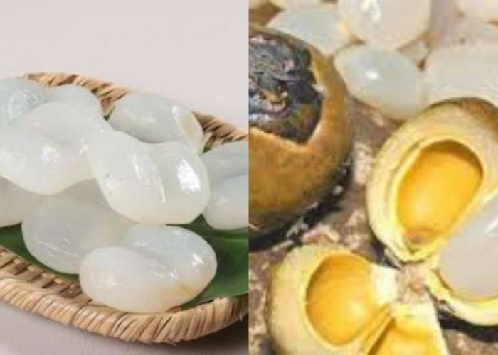 Beragam Manfaat Buah Lontar Yang Harus Kalian Tahu!