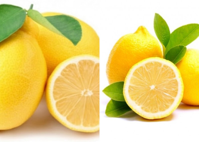 Manfaat Buah Lemon Untuk Kecantikan Wajah Tanpak Lebih Cerah! 