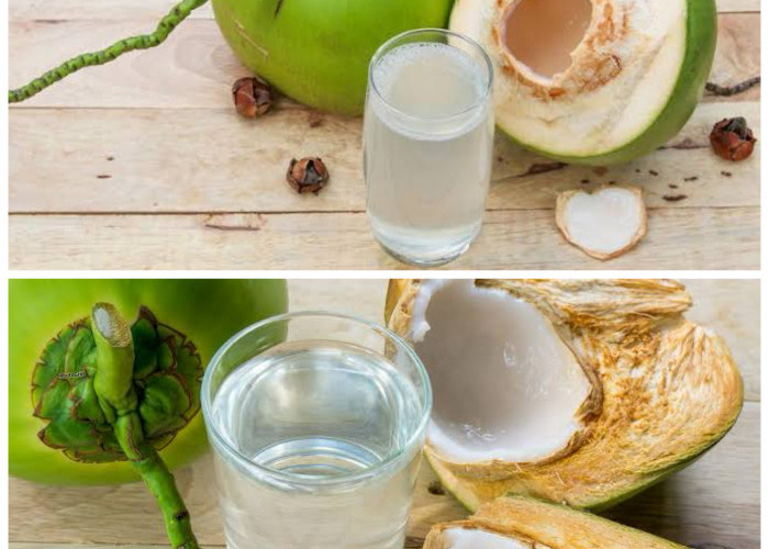 Manfaat Air Kelapa untuk Kesehatan: Minuman Alami yang Menyegarkan dan Menyehatkan!