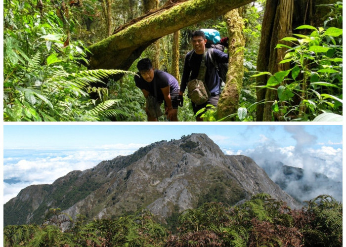 Menaklukkan Puncak Tertinggi Maluku, Eksplorasi Keindahan Gunung Binaiya
