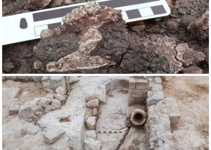 Pemerintah Timur Tengah Larang Arkeolog Sentuh Makam Kuno Umat Islam untuk Penelitian 