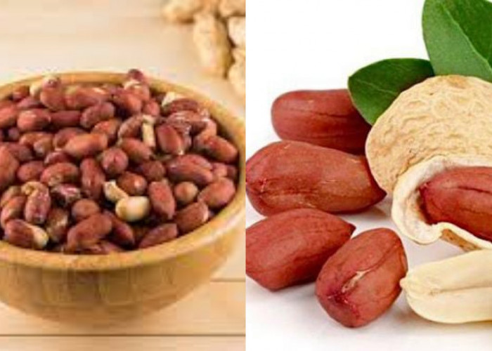 8 Manfaat Kacang Tanah untuk Kesehatan yang Jarang Diketahui!