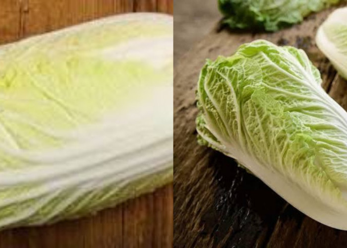 Yuk Simak! Inilah Manfaat Sawi Putih Untuk Kesehatan dan Cara Mengolahnya