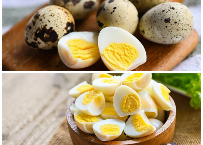 Manfaat Telur Puyuh bagi Kesehatan: Rahasia Nutrisi Kecil yang Besar Pengaruhnya
