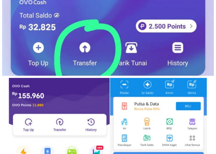 Langkah Cepat dan Mudah: Cara Transfer Saldo DANA ke OVO Tanpa Ribet