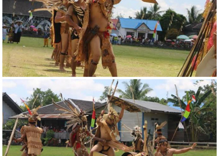 Mengenal Suku Dayak: Sejarah, Tradisi, dan Kehidupan Masyarakat Adat Penjaga Hutan Kalimantan