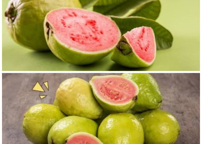 Kaya Antioksidan! Ini Kandungan Nutrisi Jambu Biji Ungu dan Manfaatnya bagi Kesehatan