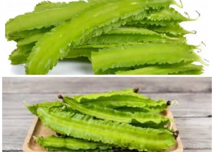 Kaya Gizi dan Serbaguna, Ini 9 Khasiat Kecipir yang Baik untuk Tubuh