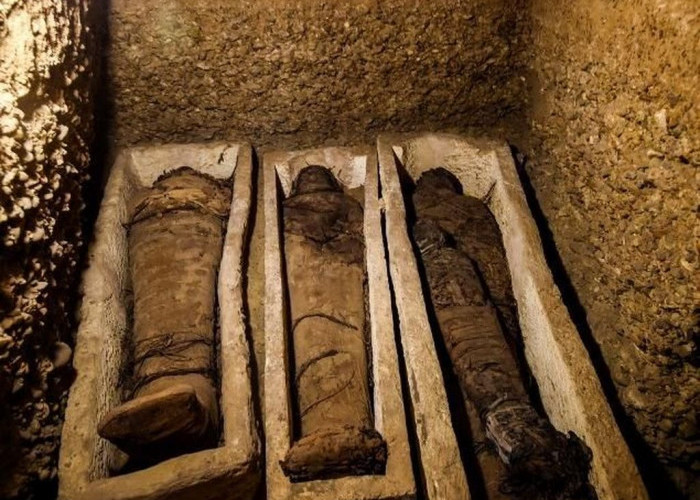 Makam Kuno Dari Dinasti Firaun Ke-5 Ditemukan, Ada Mumi Berusia 4.400 Tahun Didalamnya! 