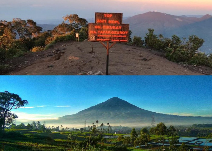 Eksplorasi Gunung Cikuray, Mengupas 5 Fakta yang Harus Diketahui Bagi Pendaki  