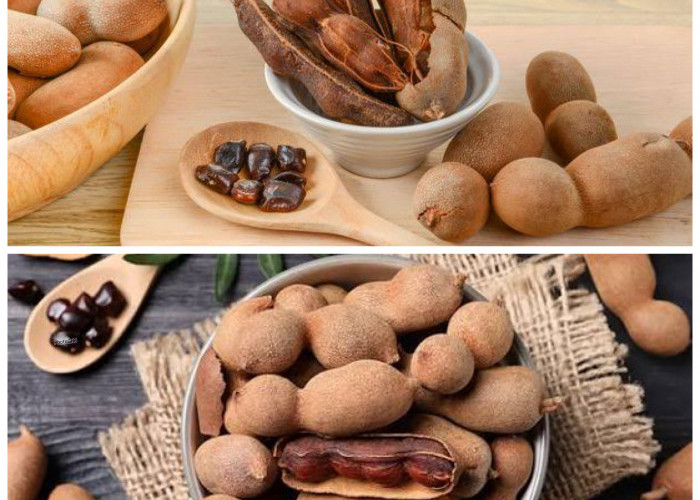 Ragam Manfaat Asam Jawa bagi Kesehatan Tubuh yang Perlu Anda Ketahui!