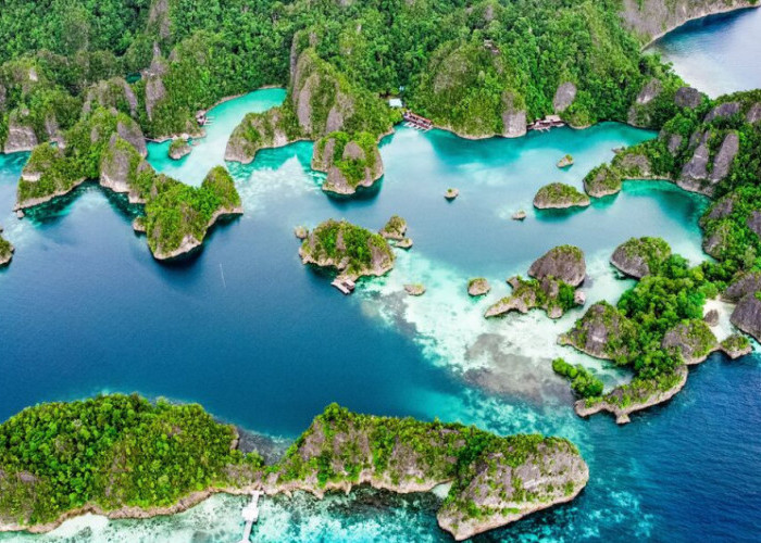 Esensi Keindahan Papua Barat, Surga Alam yang Menakjubkan, Cek Lengkapnya Disini!