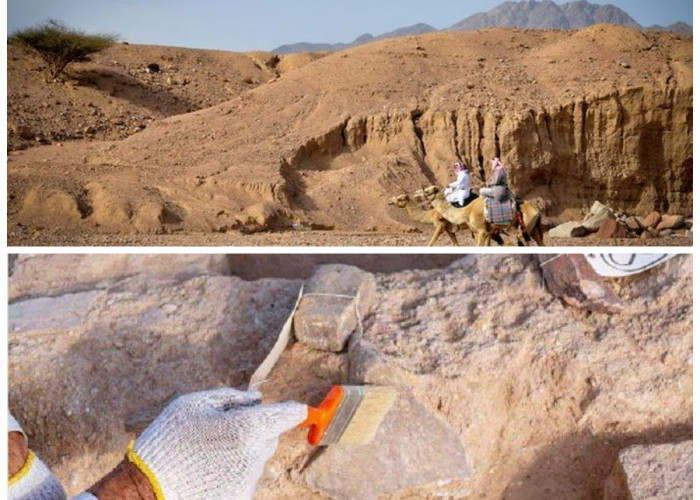 Para Arkeolog berhasil Temukan Benda Bersejarah Berupa Kapak Tangan Purba Diduga Berusia 200 Ribu Tahun 