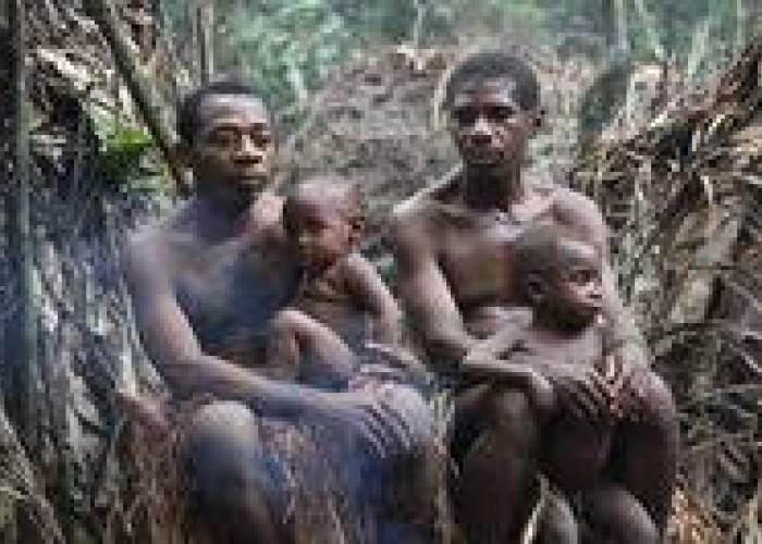 Laki-laki Menyusui Bayi, Kisah Menakjubkan Suku Aka di Afrika Tengah