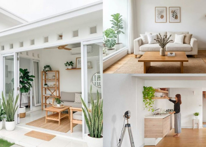 Desain Rumah Minimalis Putih-Kayu 2026: Rahasia Ruangan Luas, Terang, dan Atmosfer Japandi yang Kekinian!