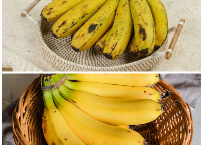 Rahasia Sehat Alami: Segudang Manfaat Pisang Ambon untuk Tubuh Anda!