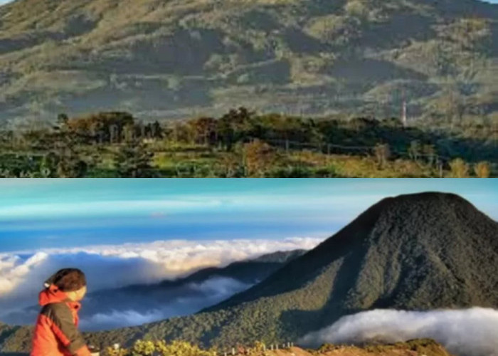 Berapa Harga Tiket Pendakian Gunung Lawu? Cek Rincian dan Tipsnya di Sini!