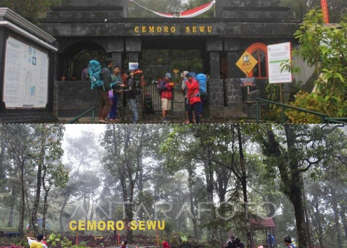 Menelisik Wisata Alam yang Cocok Untuk Ngabuburit di Cemoro Sewu
