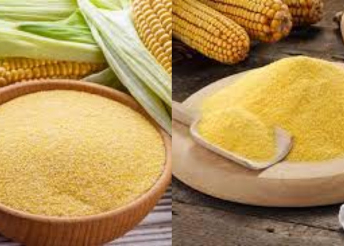 Beragam Manfaat Tepung Jagung Untuk Kesehatan Yang Luar Biasa!