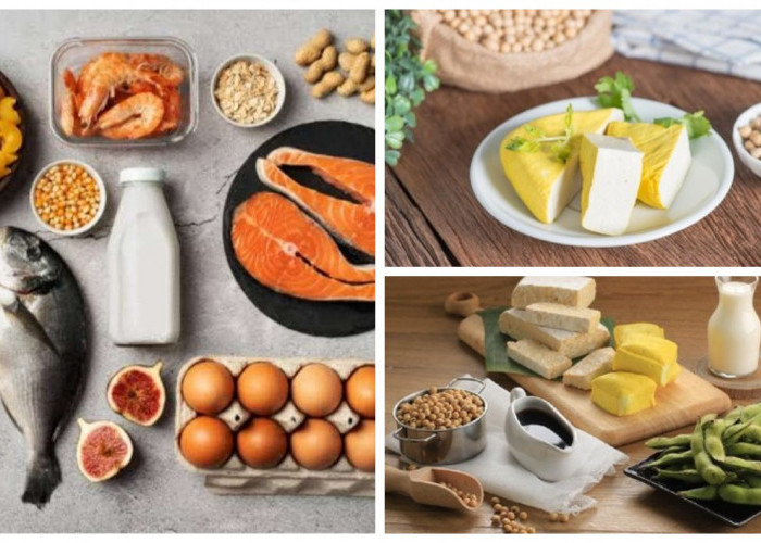 Makanan untuk Tulang Kuat: Ampuh Mencegah Osteoporosis dan Menjaga Kesehatan Tulang