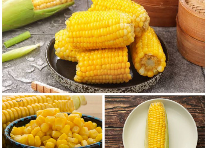 Manfaat Jagung Rebus bagi Kesehatan Tubuh: Sumber Energi Alami yang Kaya Nutrisi dan Baik untuk Pencernaan!