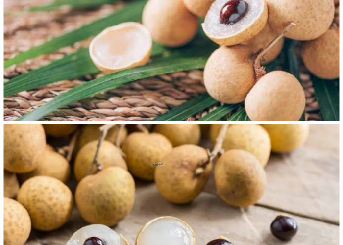 Rahasia Khasiat Buah Kelengkeng untuk Menjaga Kesehatan Tubuh Secara Alami!