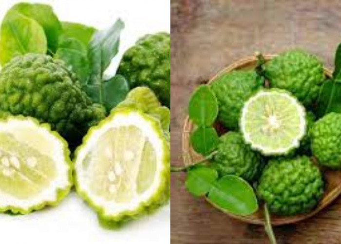 Jarang Diketahui Inilah 7 Manfaat Jeruk Purut Untuk Kesehatan Tubuh!