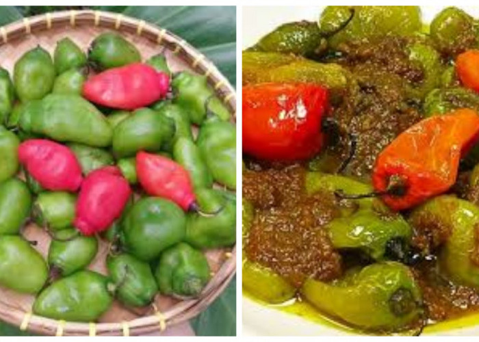 Resep Cabe Gendot Khas Sunda ala Shanty Denny yang Viral di TikTok