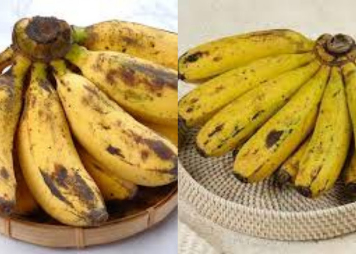 Pisang Raja Bulu: 8 Manfaat Untuk Kesehatan Yang Harus Kalian Ketahui