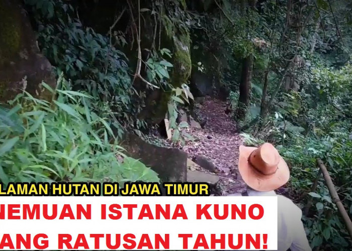 Penemuan Bersejarah Menakjubkan! Ada Istana Berusia 1000 Tahun Di Dalam Hutan Jawa Timur