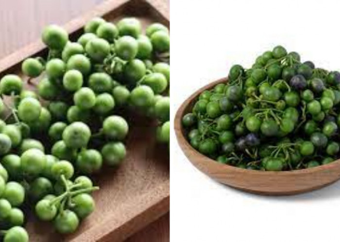 Leunca Bukan Main! Temukan Khasiat Alaminya Untuk Tubuh Sehat Disini 