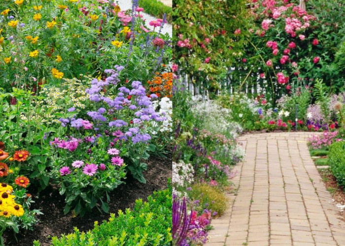 Rekomendasi Tanaman Hias Pekarangan Rumah yang Estetik dan Menyejukkan!