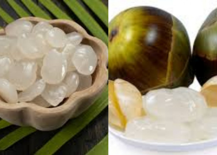 Jarang Diketahui, Inilah 7 Manfaat Menakjubkan Dari Kolang-Kaling untuk Tubuh