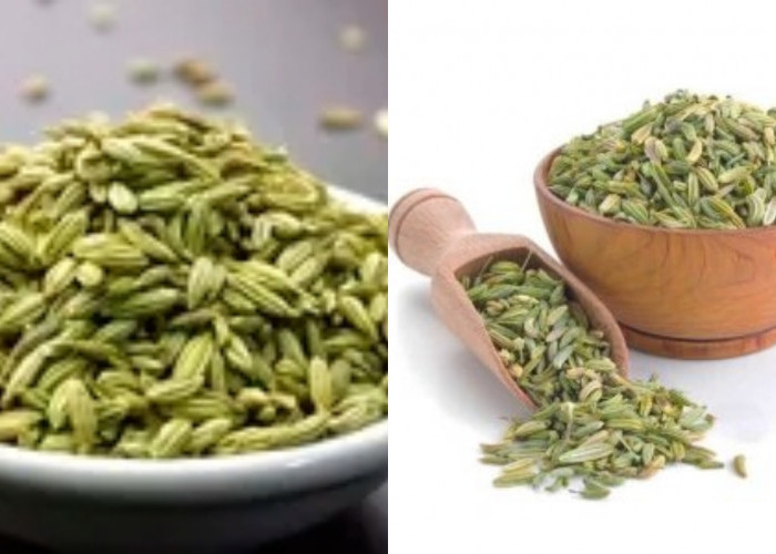 Membantu Mengontrol Gula Darah Inilah Manfaat Biji Badas Untuk Kesehatan Yang Harus Kalian Tahu! 