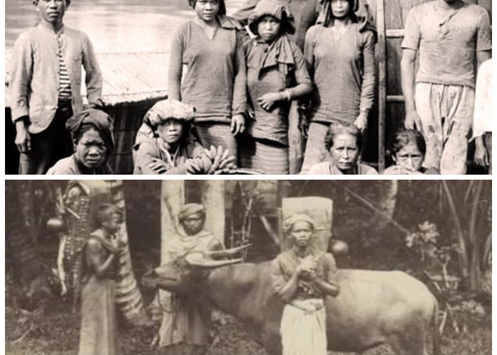 Menelusuri Asal Usul Suku Wajak: Bukti Awal Kehidupan Manusia Modern di Indonesia