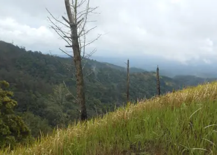 Sejarah Nama Gunung Liman dan Misterinya,Ini Penjelasannya!