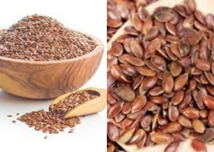 Yuk, Mengenal Biji Rami dan Manfaatnya Untuk Kesehatan Tubuh Yang Luar Biasa!