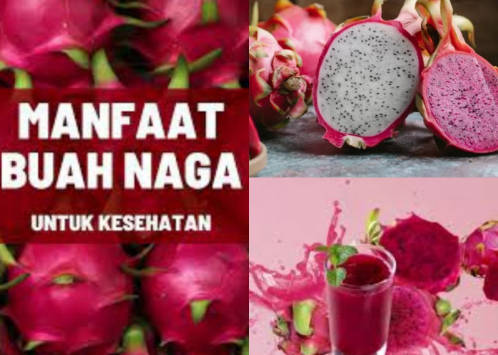 Kenapa Buah Naga Bisa Jadi Superfood? Temukan Manfaatnya!