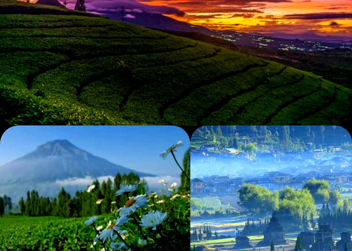 6 Wisata Menyejukkan Mata di Jawa Tengah. Keindahan Alam Nan Hijau Cocok Tuk Healing