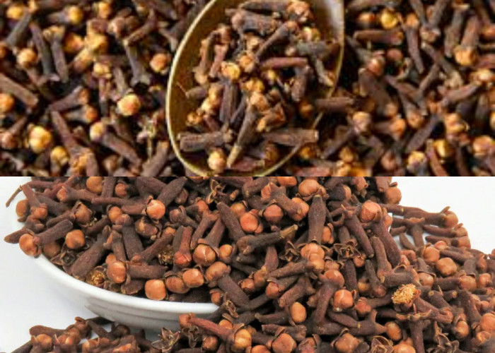 Yuk Simak! 7 Cara Menjaga Kesehatan Mata  