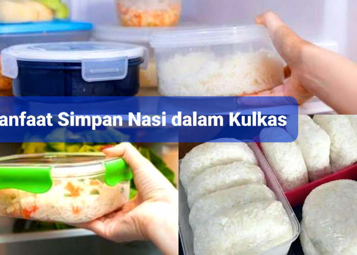 Ternyata 3 Manfaat Ini Didapat Karena Menyimpan Nasi Dalam Kulkas Lho. Apa Saja?