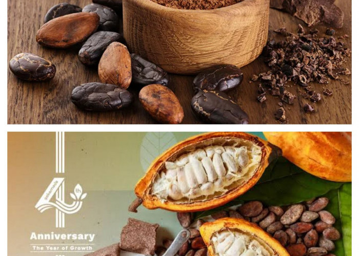 7 Manfaat Cocoa bagi Kesehatan, Kaya Antioksidan dan Nutrisi Penting