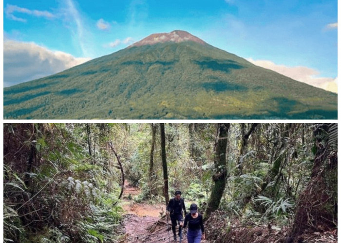 Sejarah Gunung Pohen: Jejak Sakral, Mistis, dan Peranannya bagi Kehidupan Masyarakat Bali!