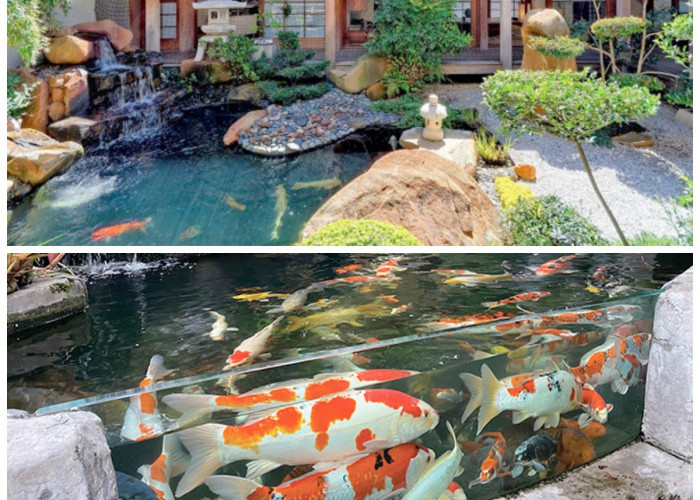 Halaman Terlihat Lebih Asri! Ide Kolam Ikan Natural yang Cantik dan Praktis Diterapkan