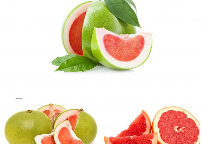 Inilah Segudang Khasiat Jeruk Bali Bagi Keaehatan TUbuh yang Jarang Diketahui!