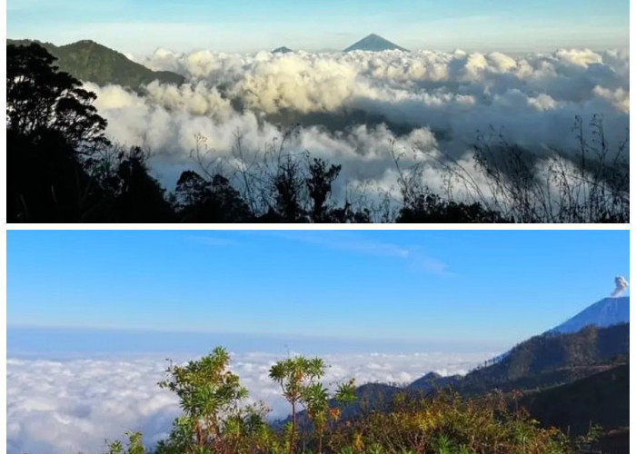 Jejak Dewa dan Cerita Rakyat: Menelusuri Sejarah Gunung Tapak yang Penuh Misteri