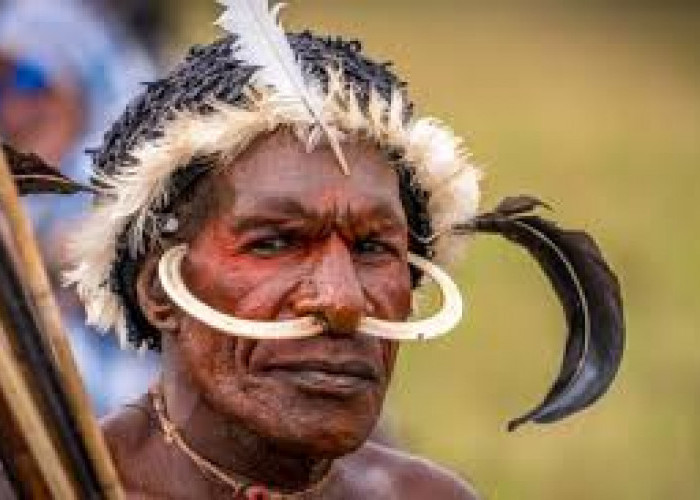 Bentuk-Bentuk Pakaian Adat Tradisional di Papua, Dari Koteka Hingga Anyaman Lani