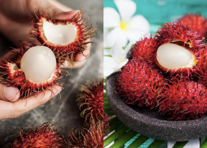 Manfaat Buah Rambutan untuk Tubuh, Dari Kulit Sehat hingga Imun Kuat