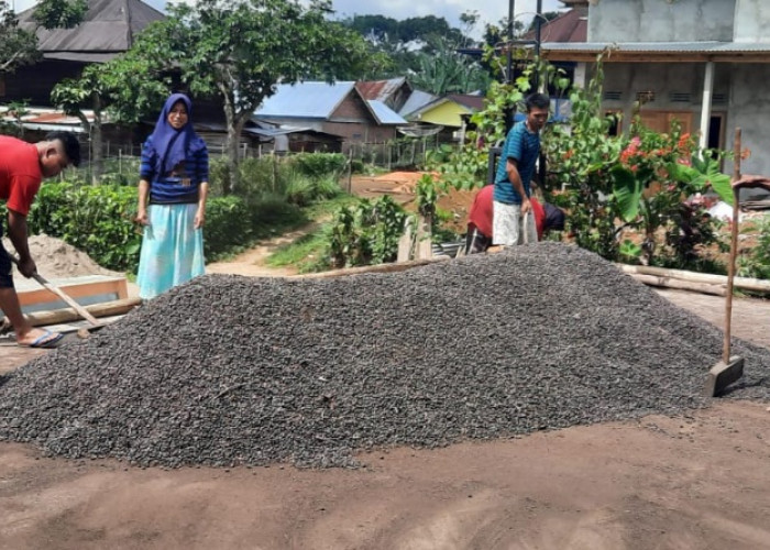 Harga Merosot, Petani Tunda Menjual Kopi