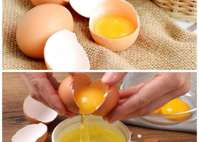 Manfaat Putih Ayam untuk Kesehatan: Sumber Protein Rendah Lemak yang Baik untuk Tubuh!